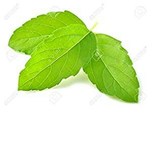 Basil leaf (Tulsi ke patte) Chomu