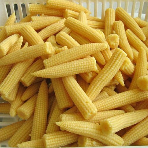 Beby corn exotic
