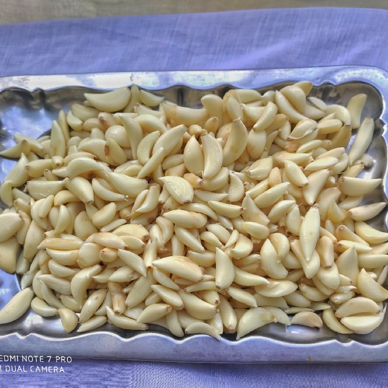 Lasan(garlic)