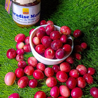 Cranberry sweet & sour pickles(150gms)