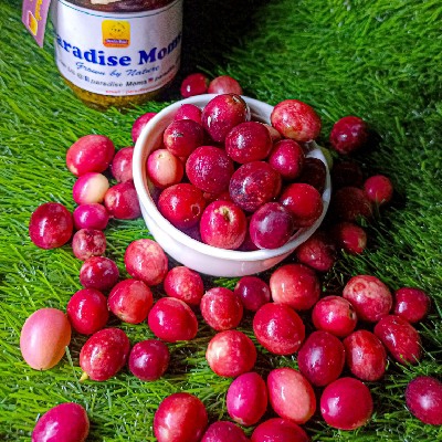 Cranberry Jam(300gms)