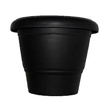 CHUTTY 6" 2ND 20 (black)