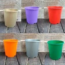 CHUTTY 7" COLOUR CUP HD 50