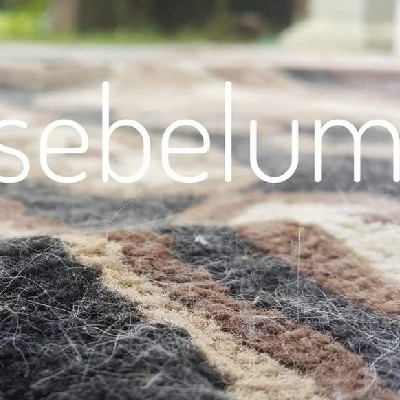 Special Treatment bulu kucing