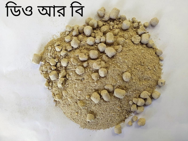 DORB / ডি ও আর বি