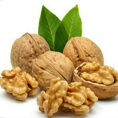 WALNUTS