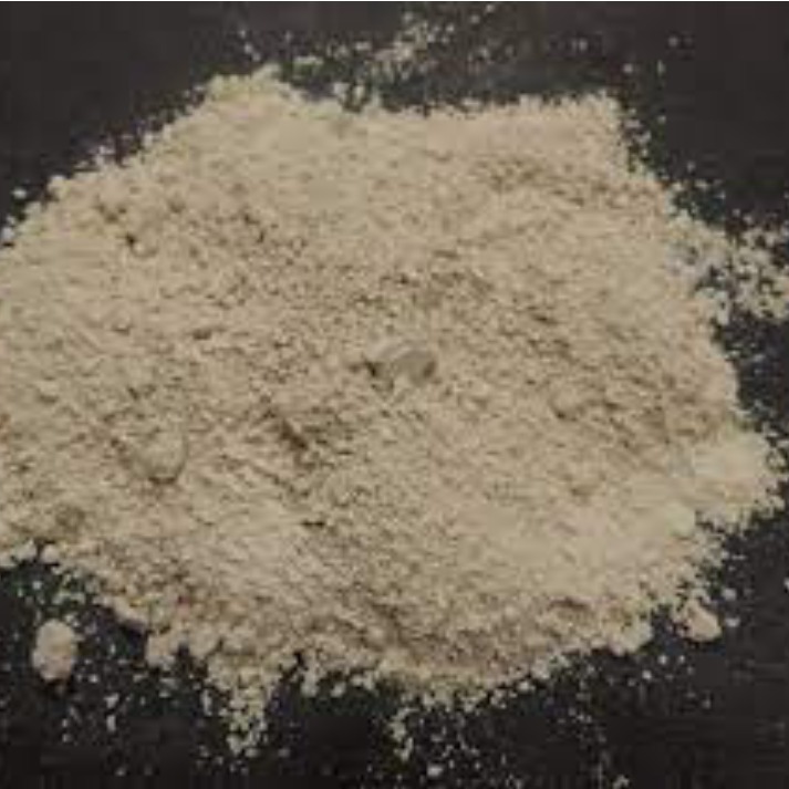 Diatomaceous Earth Powder (200 grams pouch)