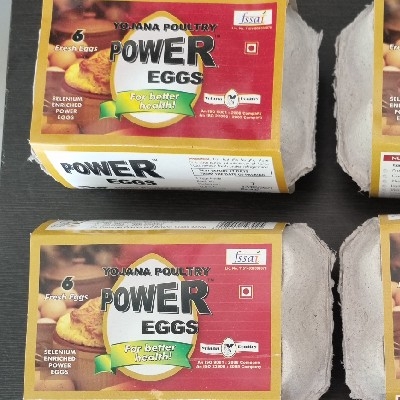 Eggs white Yojana 6