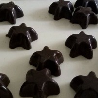 Dark Chocolate Bites (100 Gms)