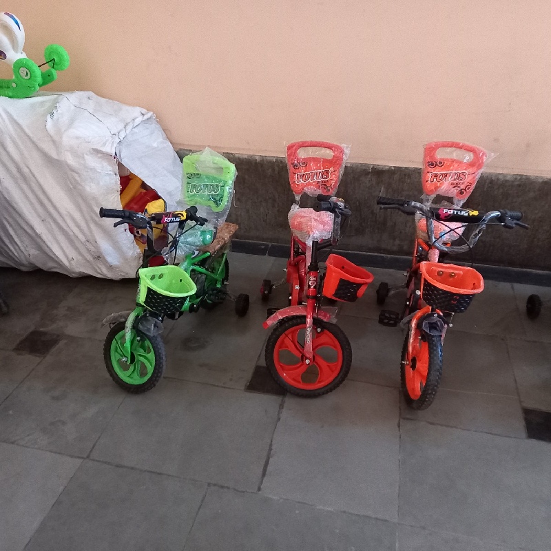 14 inch Tricycle
