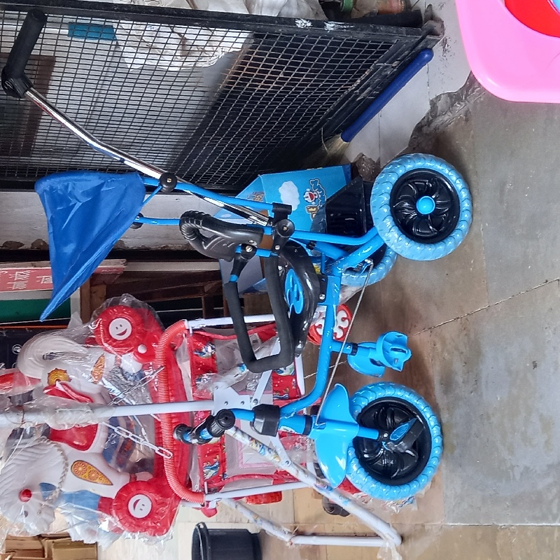 Baby Tricycle with hood