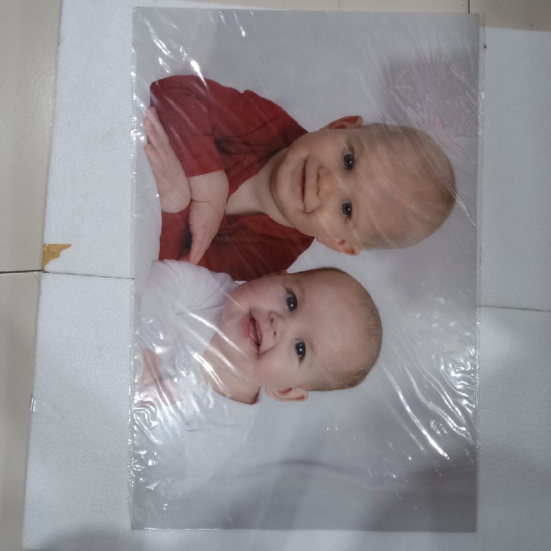 Baby Poster fine arts