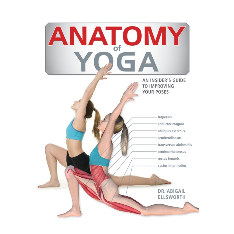 ANATOMY OF YOGA