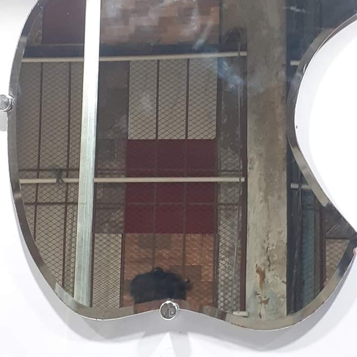 APPLE MIRROR
