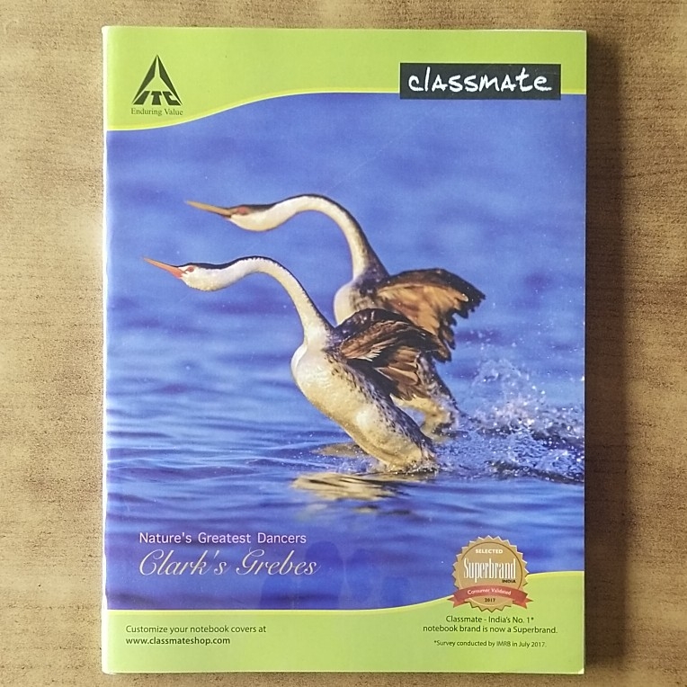 Classmate Practical Copy Small (120 Pages)