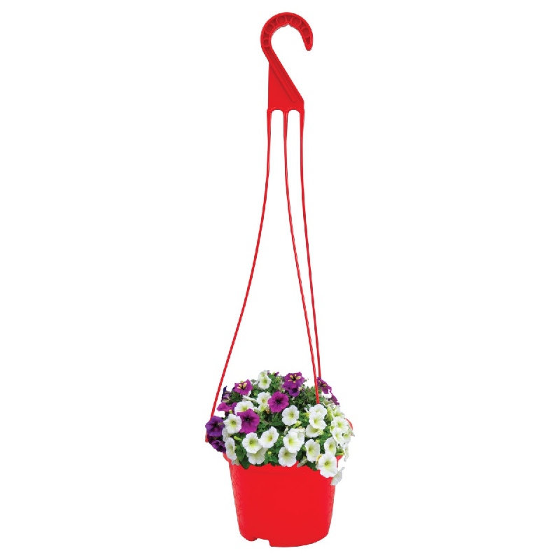 (Tel) HANGING FLOWER TAB ছোট ফুলের টব (টেল)