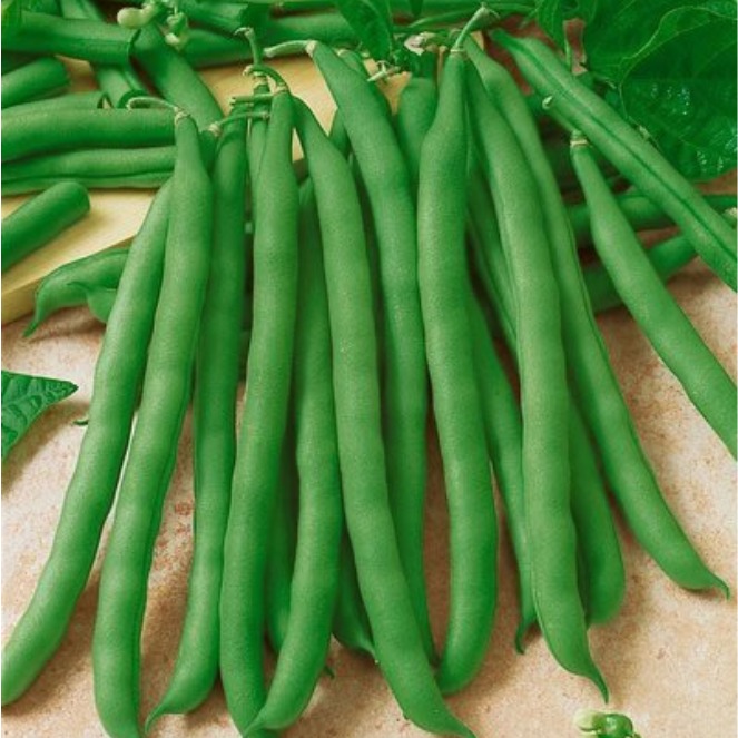 Beans Ring 250gm