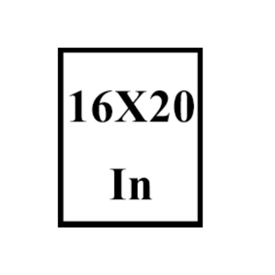 16X20 NP FRAME