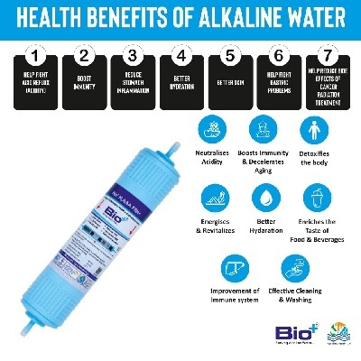 BIO+ HYDROGEN AAA 11" FILTER (BWPQ)