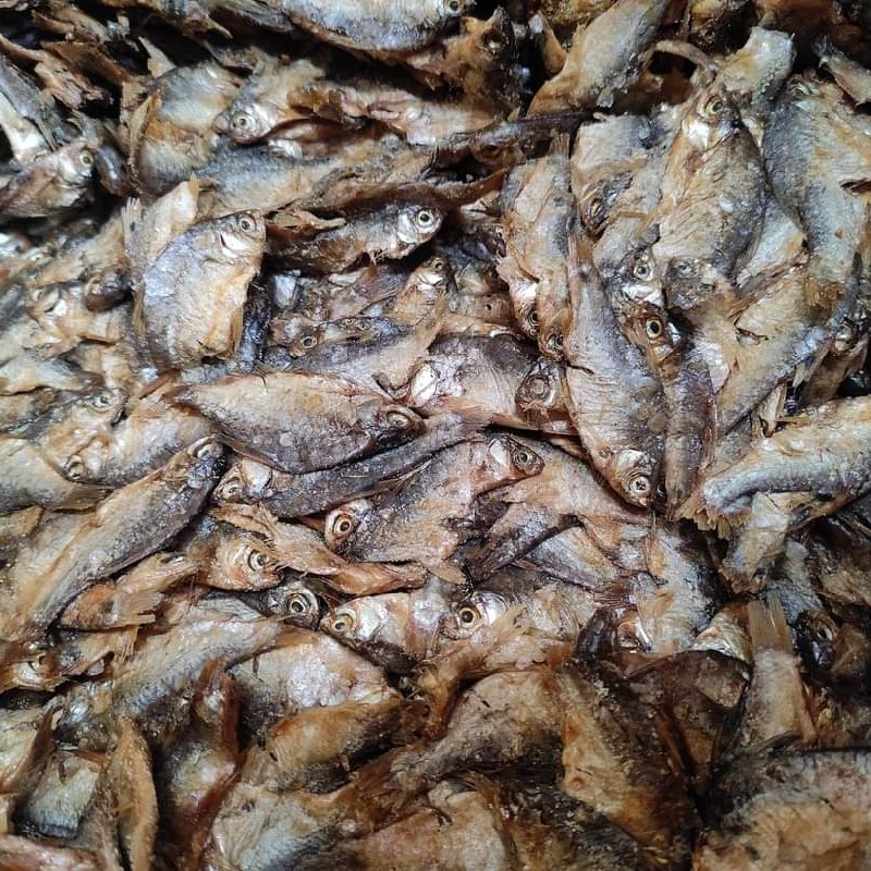 No.1 Deshi Puthi Sepa