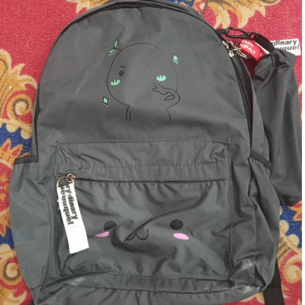 BAG 320.