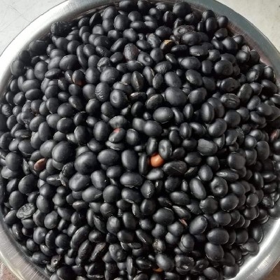 Black Soyabean ( kalo bhatamas)