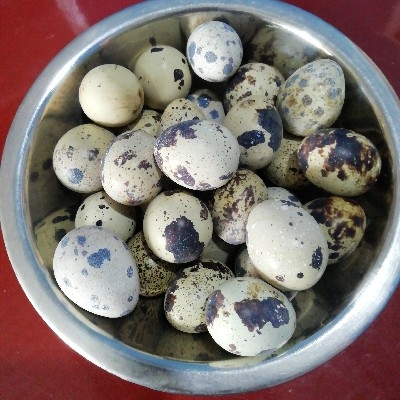 Battai eggs