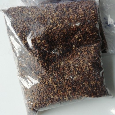 Broun sesame (kailo Til)