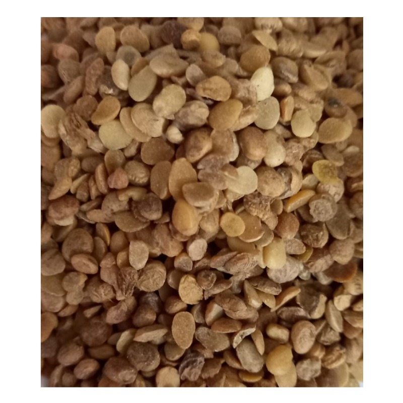 Chironji Nuts- Broken