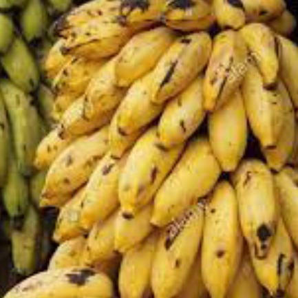 085295 Ethylene Diamine Tetra Acetic Acid Disodium Salt 500gm