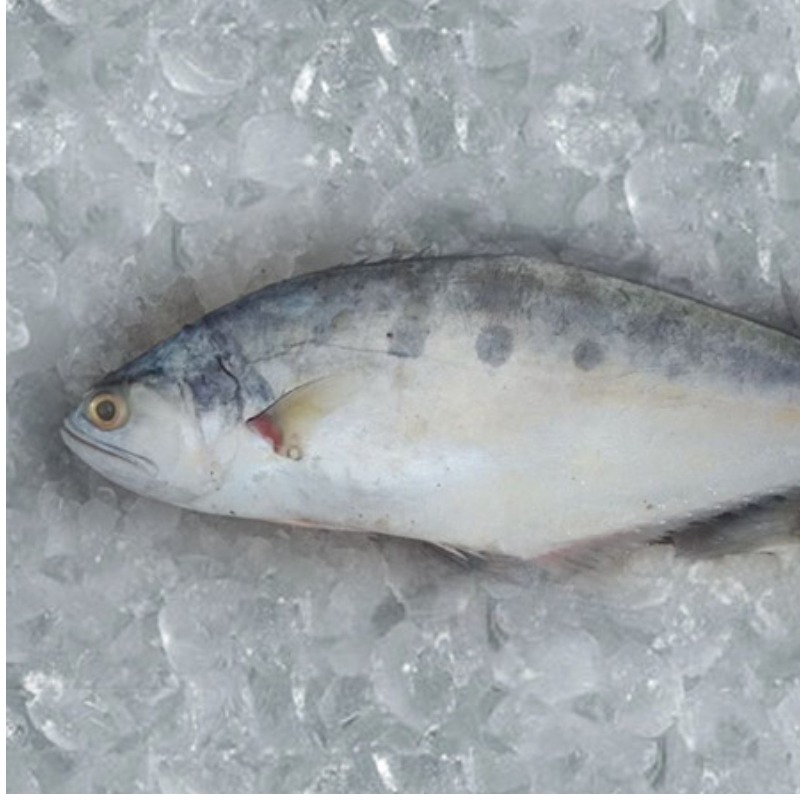 356235 500ml Silicon Oil For Oil Baths upto 250°C