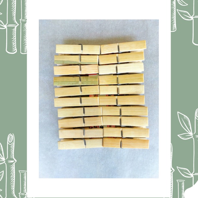 Bamboo Pegs