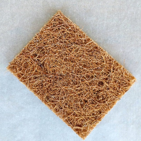 Coconut Cleaning Scrub Pad 2-pack