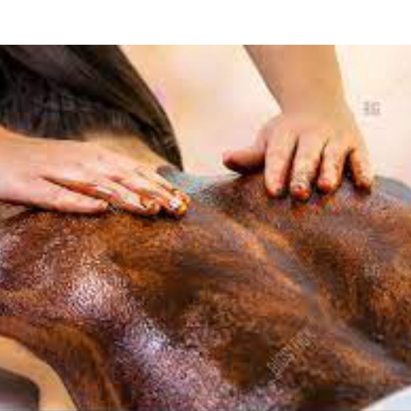 FULL BACK CHOCOLATE WAXING