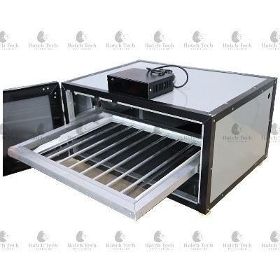 50 EGGS FULLY AUTOMATIC FULL OPTION BULB + HEATING COIL