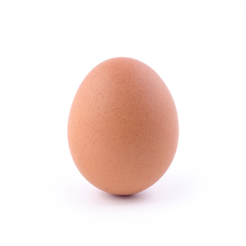 Egg (each)