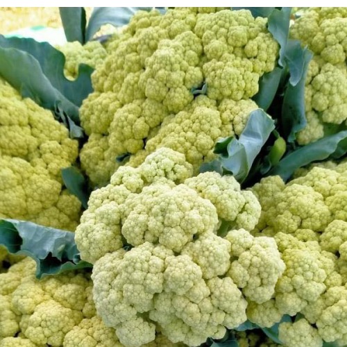 Cauliflower-White