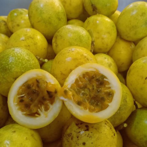 Passion Fruit