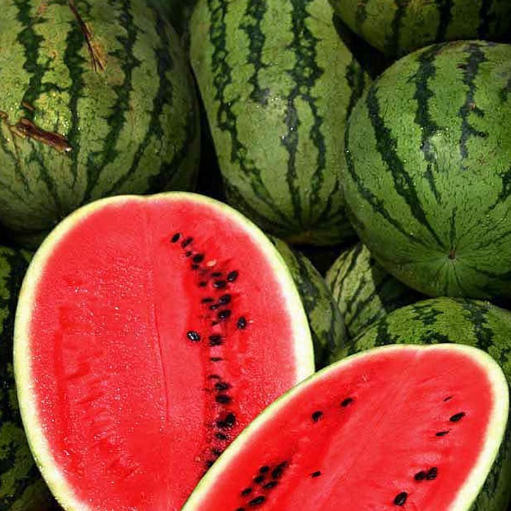 Watermelom-Red