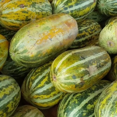 Khmer Melon