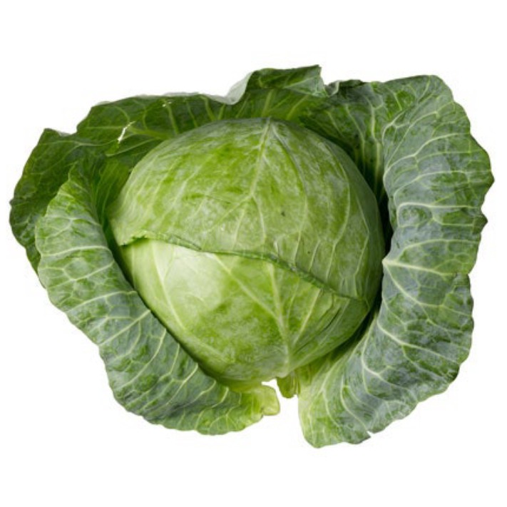 Cabbage