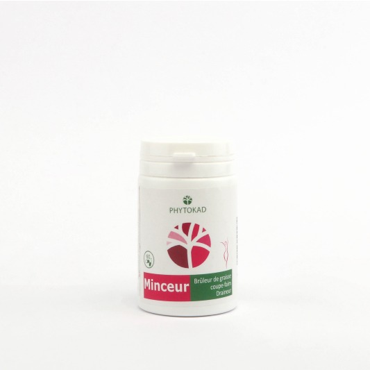 GELULE MINCEUR boîte de (60)