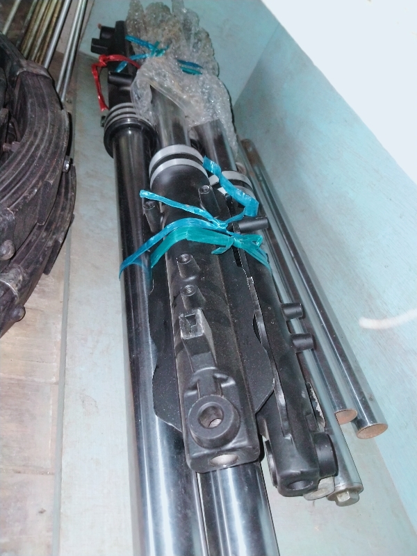 43 Shocker (big size)