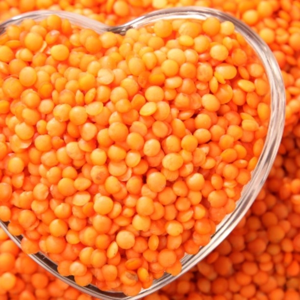 Dal কিসান মুসুর ডাল ১০০ গ্রাম