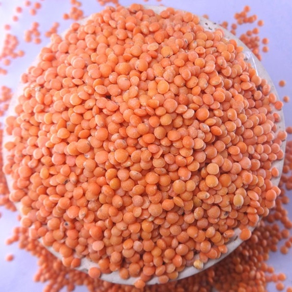 Dal মাঝারি মুসুর ডাল ১০০ গ্রাম