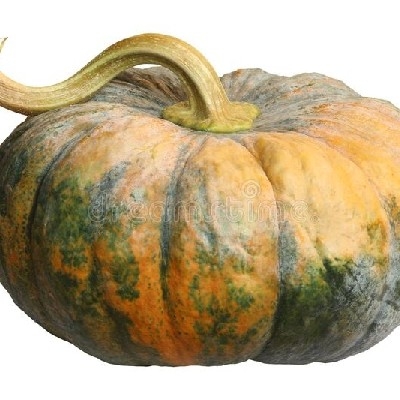 Pumpkin 🎃 ( कद्दू )