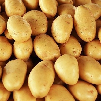 Potato 🥔 (आलू)