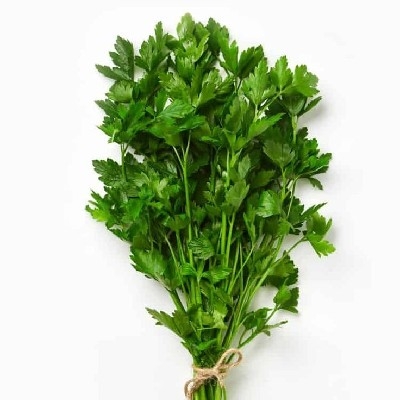 Coriander(धनिया)