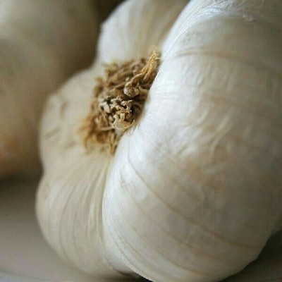 garlic(लहसुन)