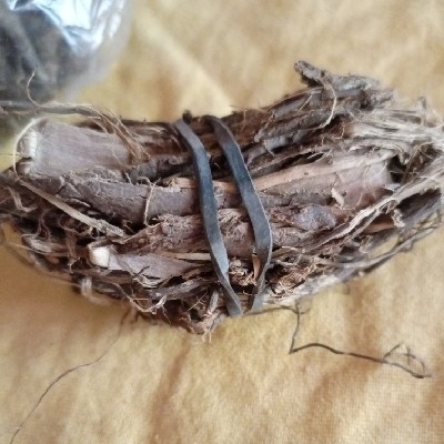 Dandasa